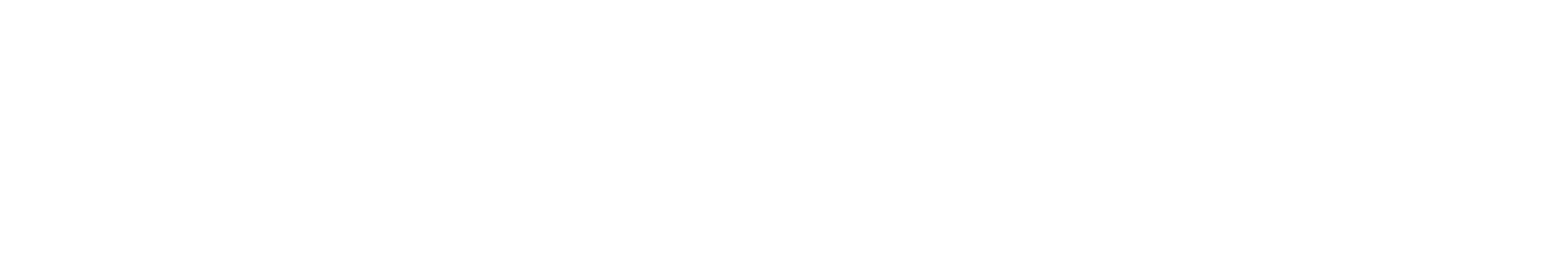 Custom Stacks Wordmark Negative
